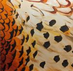 Fuentes, Analee: Fern Ridge Pheasant